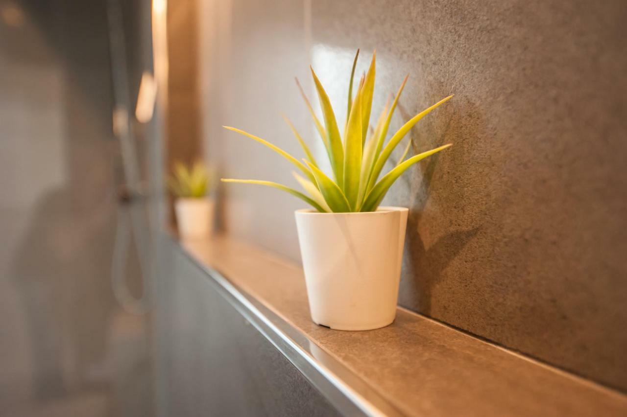 Apartment Artist Terrace